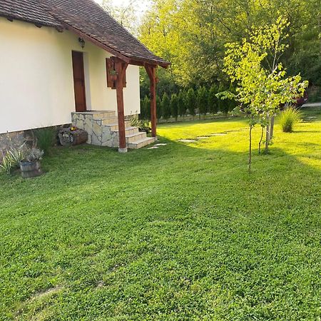 Vila Rudnicki Eko Breg Rudnik Exteriér fotografie
