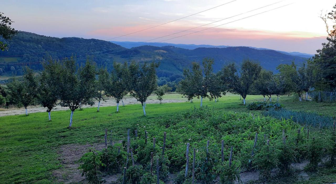 Vila Rudnicki Eko Breg Rudnik Exteriér fotografie