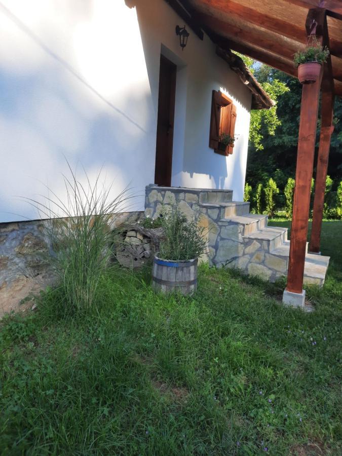 Vila Rudnicki Eko Breg Rudnik Exteriér fotografie