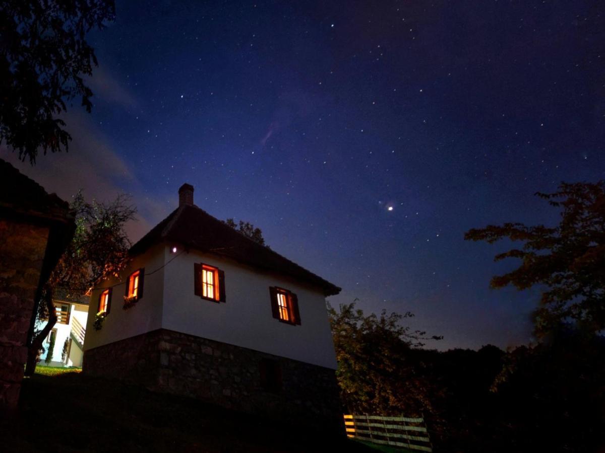 Vila Rudnicki Eko Breg Rudnik Exteriér fotografie