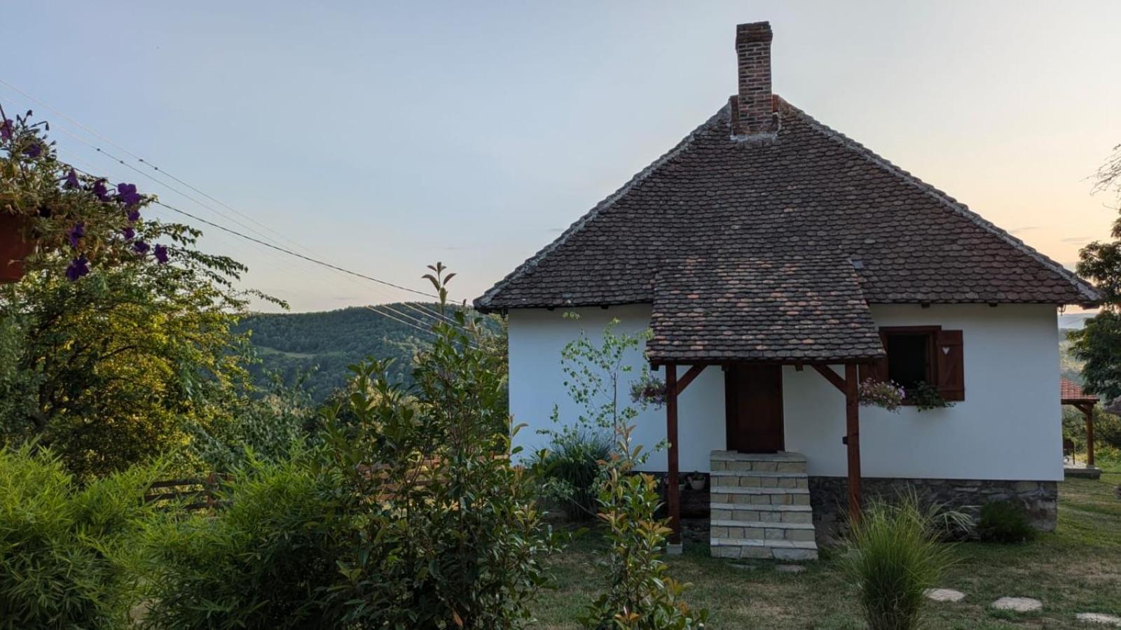 Vila Rudnicki Eko Breg Rudnik Exteriér fotografie
